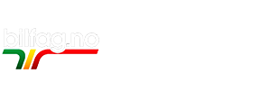 Bilfag-Østfold-logo-hvit